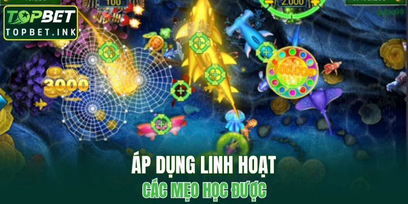 Áp dụng linh hoạt các mẹo học được