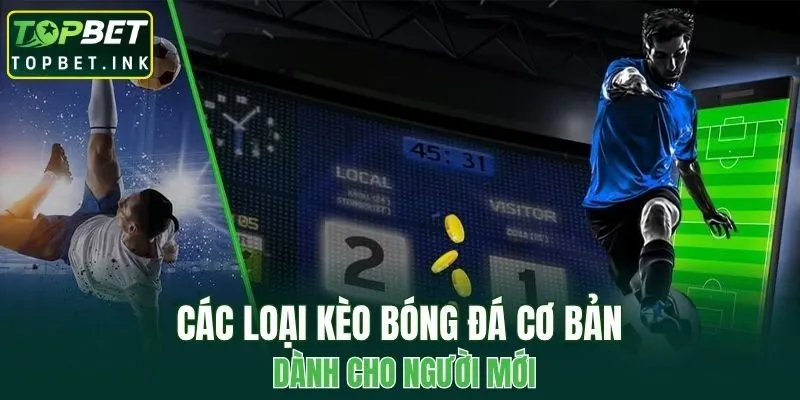Các loại kèo bóng đá cơ bản dành cho người mới