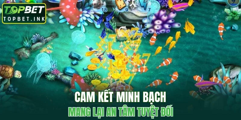 Cam kết minh bạch mang lại an tâm tuyệt đối