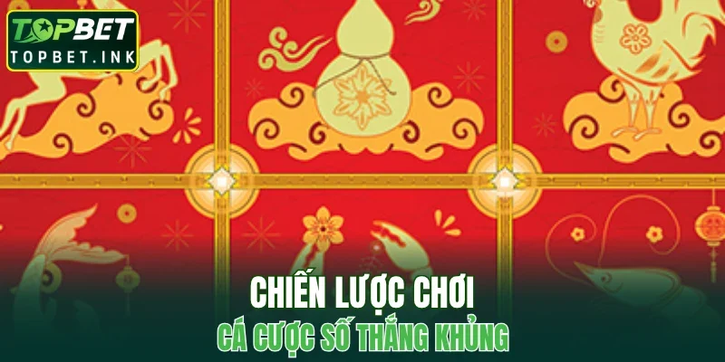 Chiến lược chơi cá cược số thắng khủng