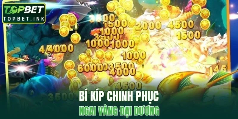 Kết hợp linh hoạt các chiến thuật với nhau