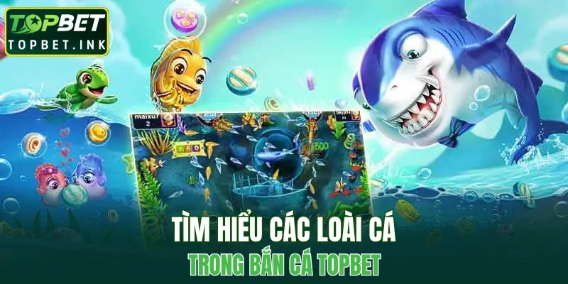 Tìm hiểu các loài cá trong bắn cá TOPBET 